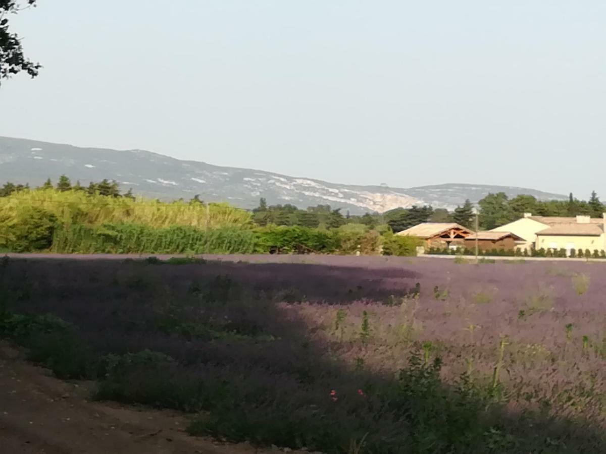ル・トール Au Pays Du Ventoux Bed & Breakfast エクステリア 写真