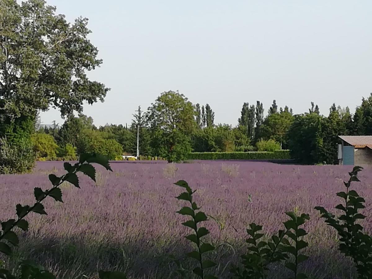ル・トール Au Pays Du Ventoux Bed & Breakfast エクステリア 写真